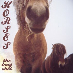 horses