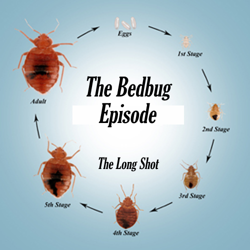 Episode #519: The Bedbug Episode featuring Steve Agee