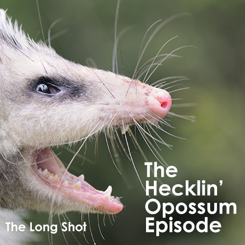 Episode #1006: The Hecklin' Opossum Episode